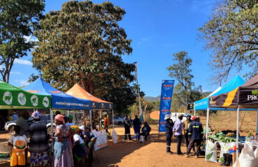 512665943_1143916104442806_5552402136579304741_n