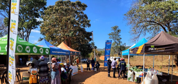 512665943_1143916104442806_5552402136579304741_n