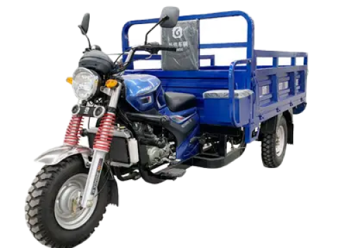 Cargo 500 200CC On Road