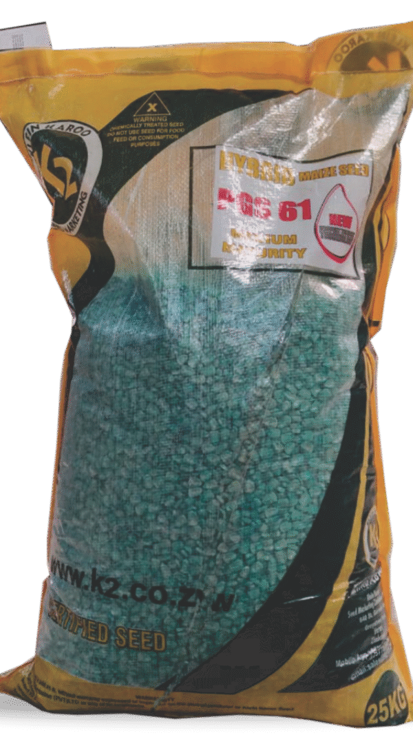 K2 PGS 61 Maize Seed