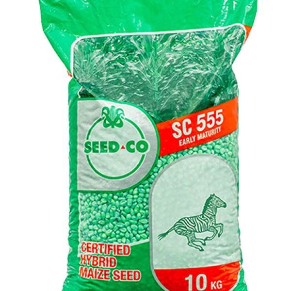 SeedCo Maize Seed 555 10kg