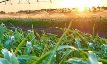 AdobeStock_283708610-scaled-e1699446640516-1024x1024