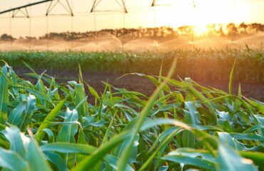 AdobeStock_283708610-scaled-e1699446640516-1024x1024