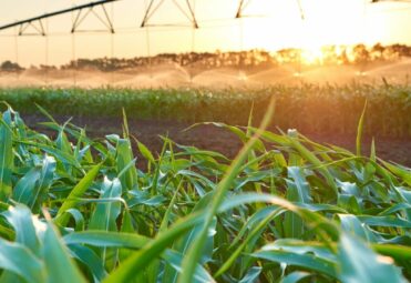 AdobeStock_283708610-scaled-e1699446640516-1024x1024