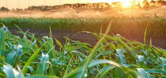 AdobeStock_283708610-scaled-e1699446640516-1024x1024