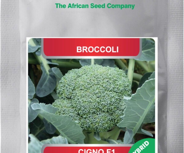 AdobeStock_509906174 (1)