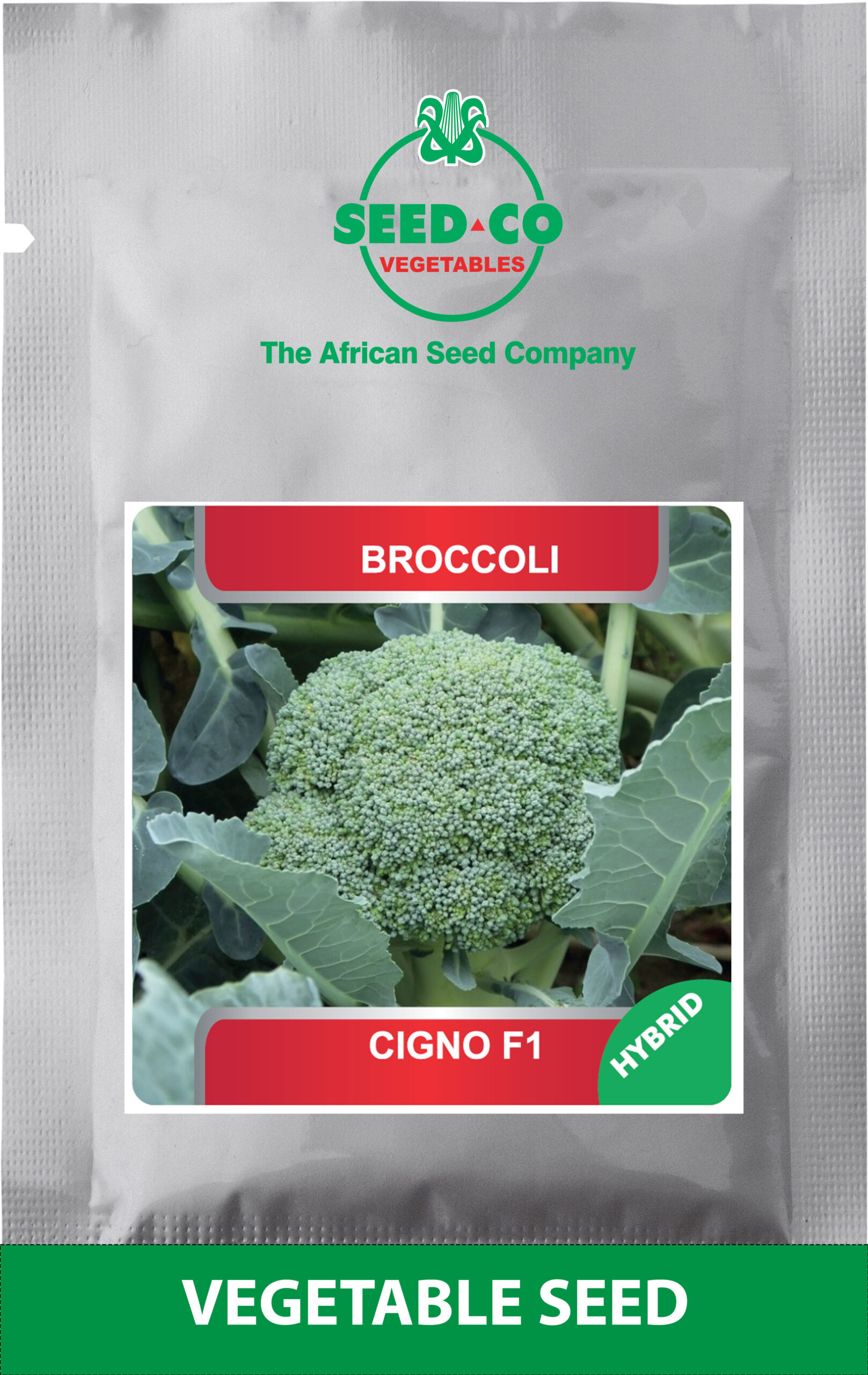 Ps Broccoli CIGNO F1