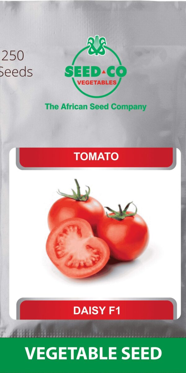 PS Tomato Daisy F1